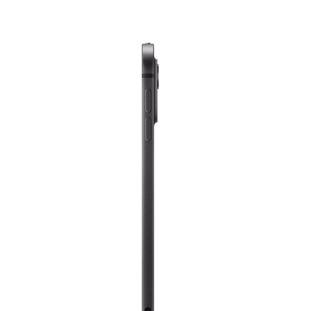 iPad Pro 11'' Wi‑Fi 256GB (Standard Glass)